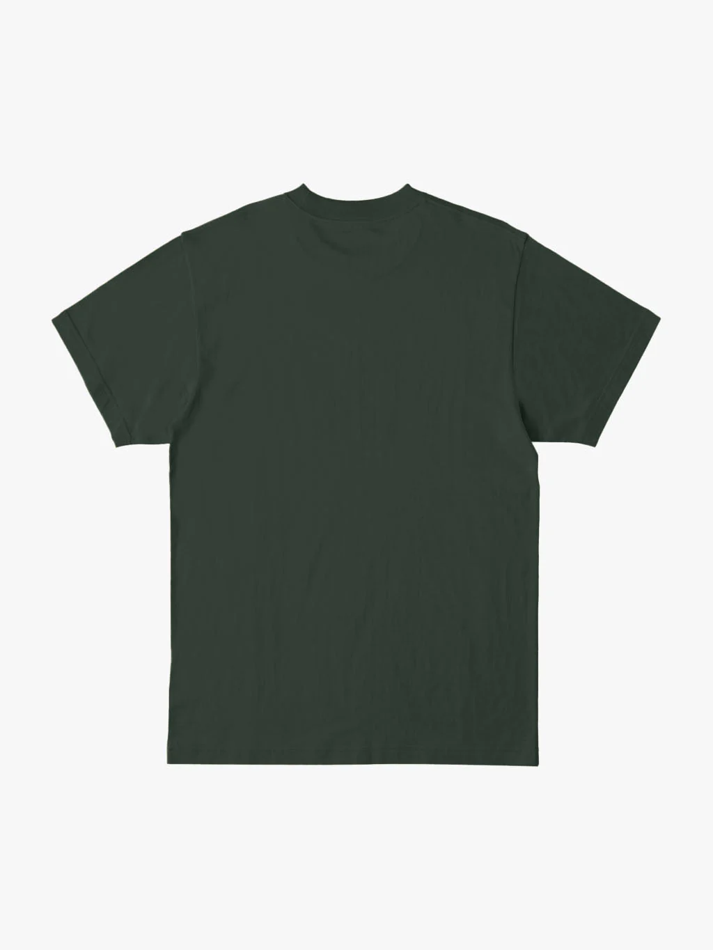 POLO M/C DC SHOES HOMBRE DC STAR HSS - Image 2