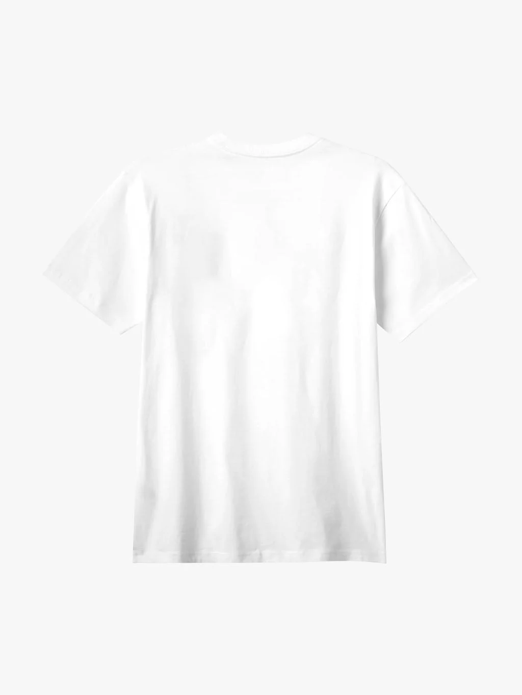POLO M/C DC SHOES HOMBRE DC STAR HSS - Image 8