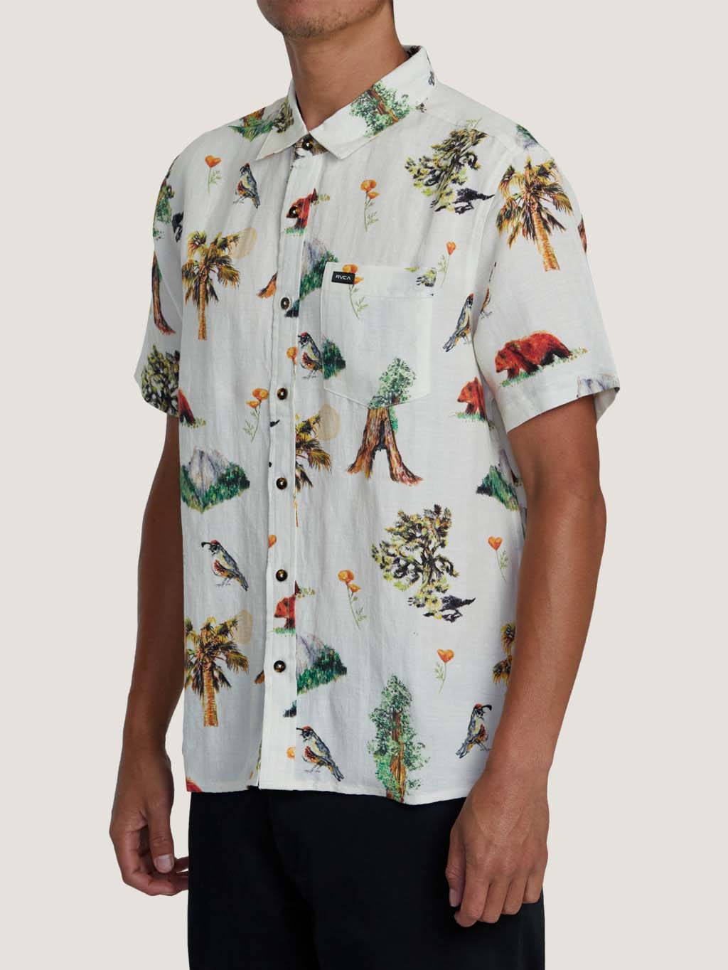 CAMISA M/C RVCA HOMBRE ARTIFACTS SS - Image 6