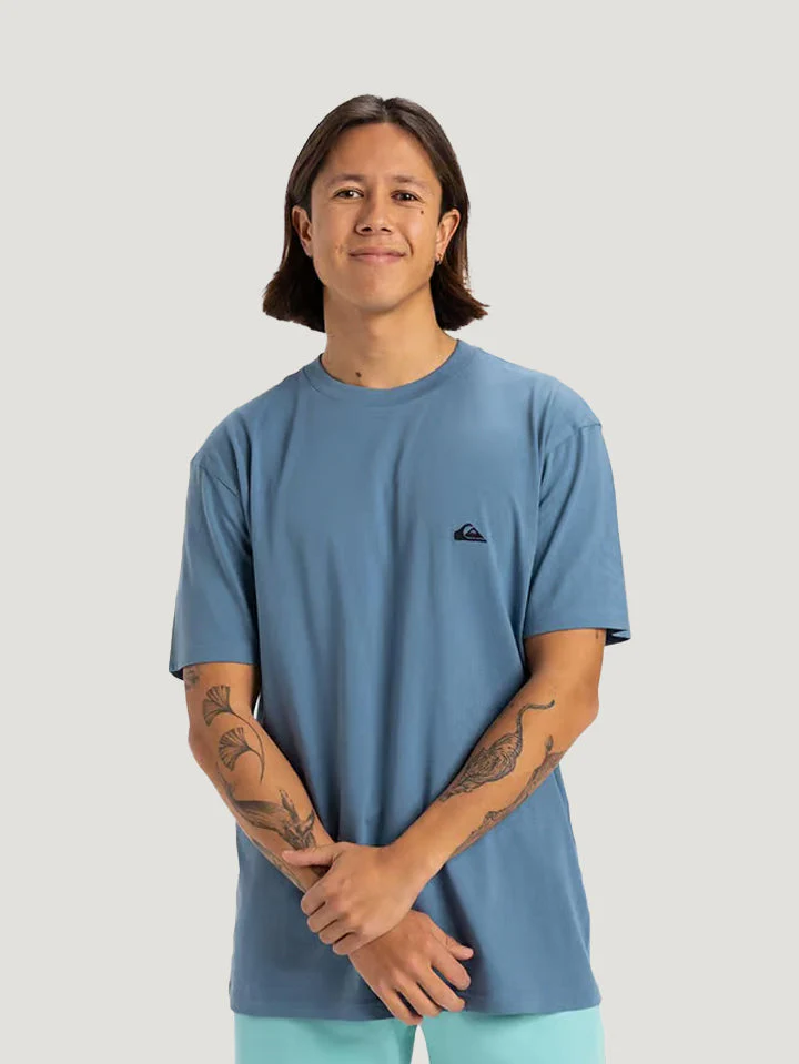 POLO M/C QUIKSILVER HOMBRE BASIC SS TEE YOUNG MEN - Image 21