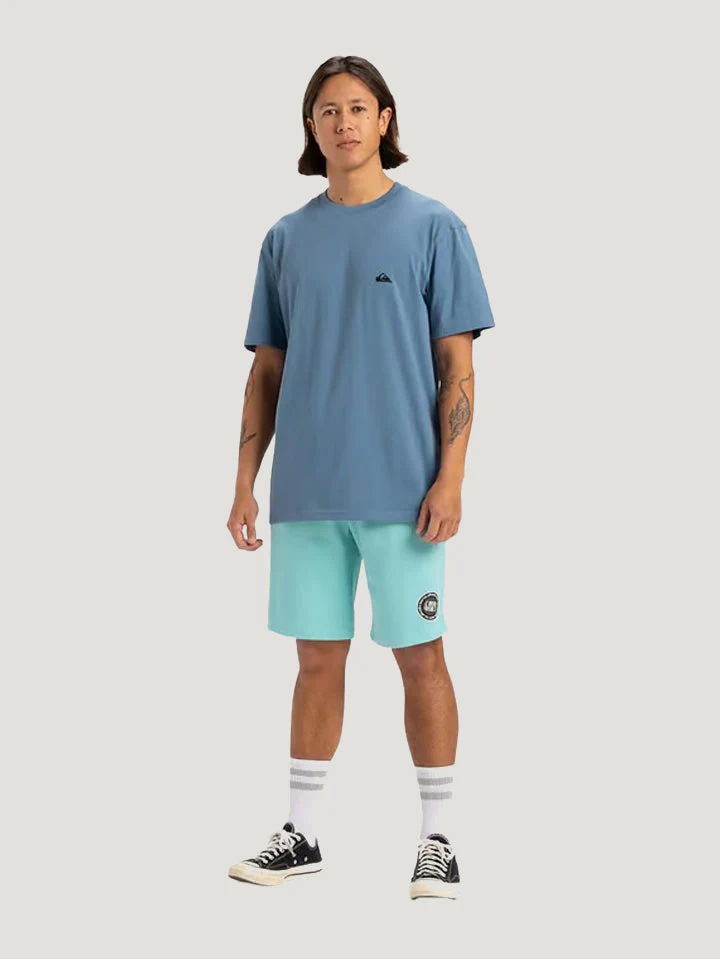 POLO M/C QUIKSILVER HOMBRE BASIC SS TEE YOUNG MEN - Image 22