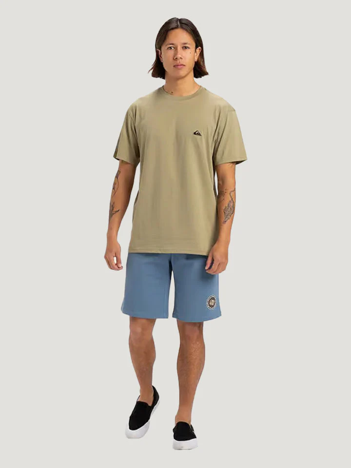 POLO M/C QUIKSILVER HOMBRE BASIC SS TEE YOUNG MEN - Image 28