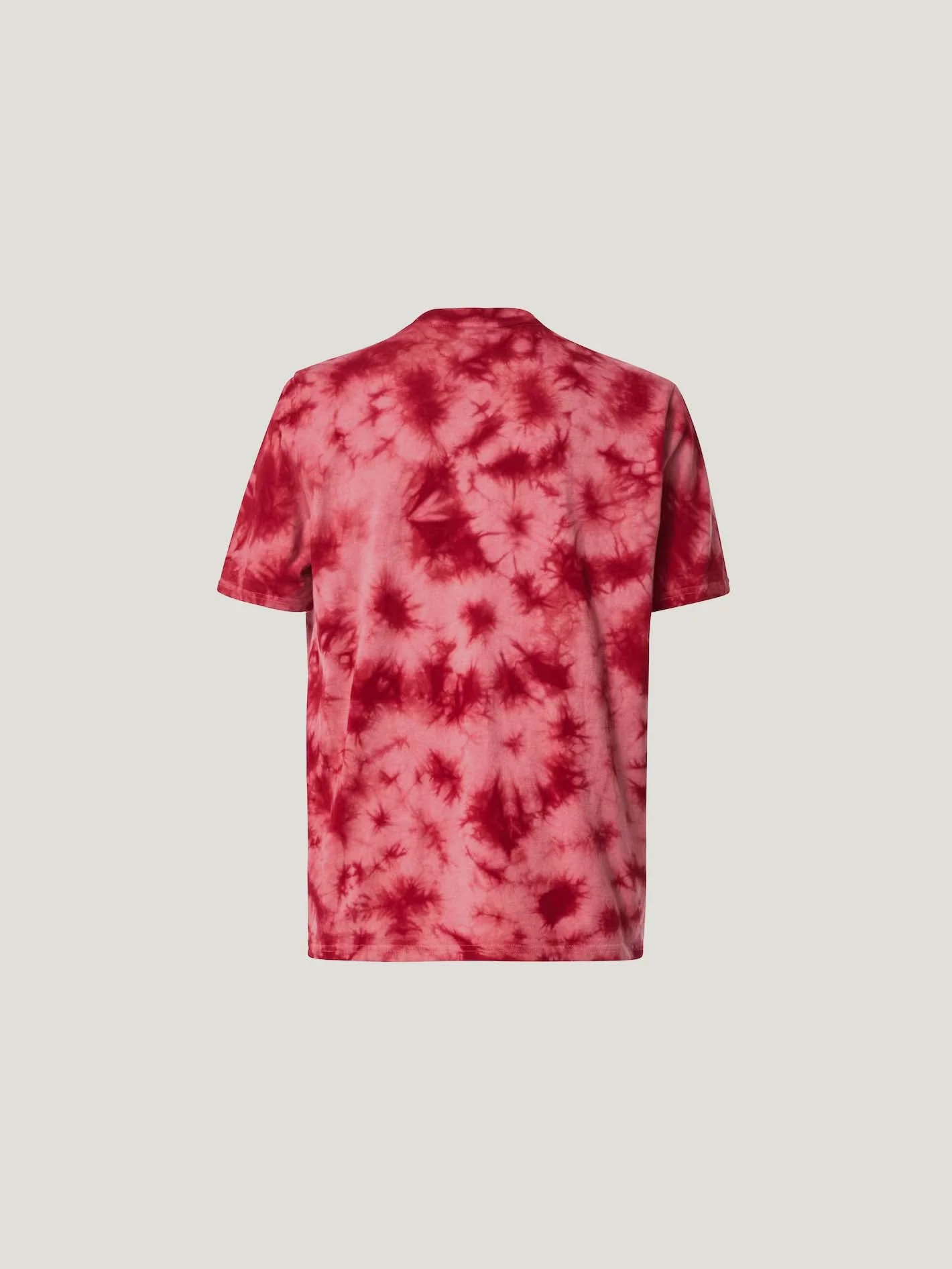 POLO M/C OAKLEY HOMBRE WANDERLUST B1B TEE - Image 8